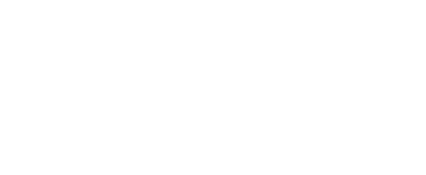 Icons The Case